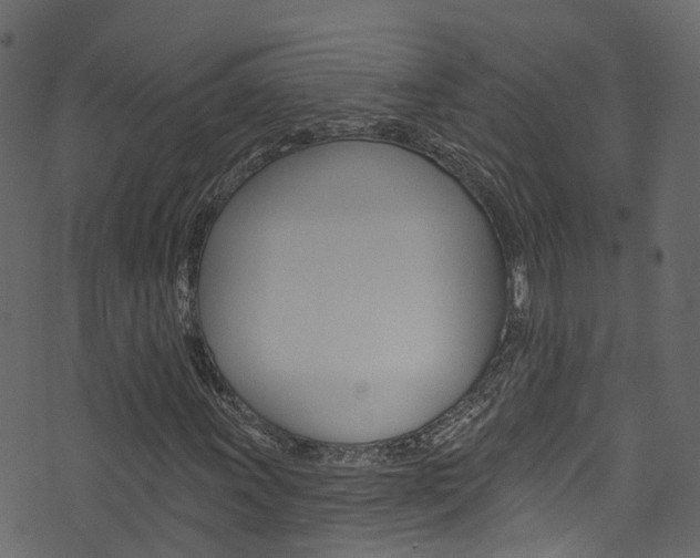 X0000074301011200608250947