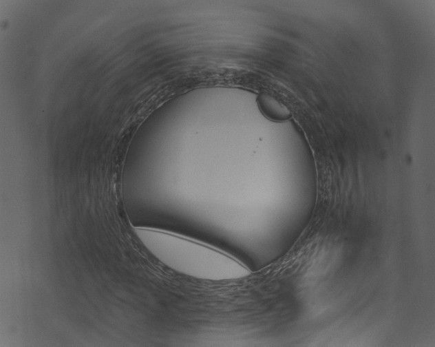 X0000074301013200608250947