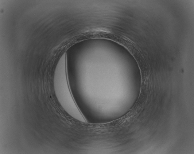 X0000074301014200608250947