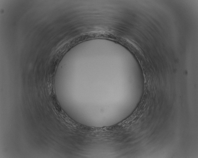 X0000074301015200608250947