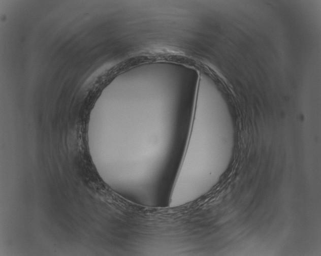X0000074301016200608250947