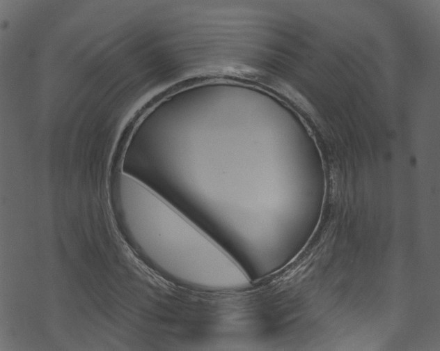 X0000074301020200608250947