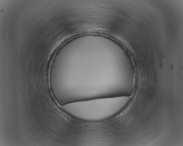 X0000074301023200608250947