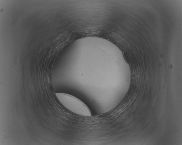 X0000074301058200608250947