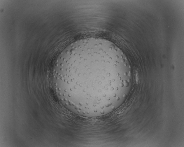 X0000074301059200608250947