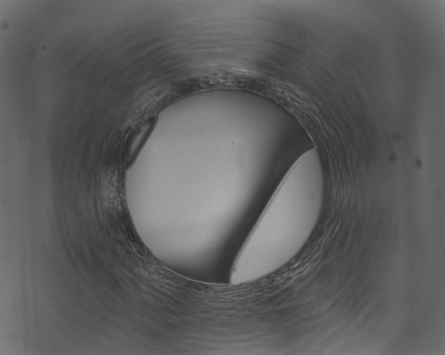 X0000074301060200608250947
