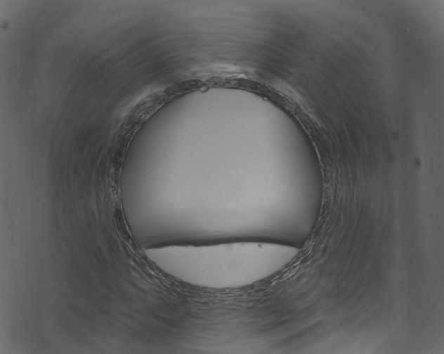 X0000074301063200608250946