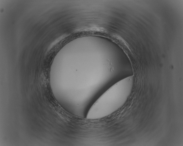 X0000074301064200608250946