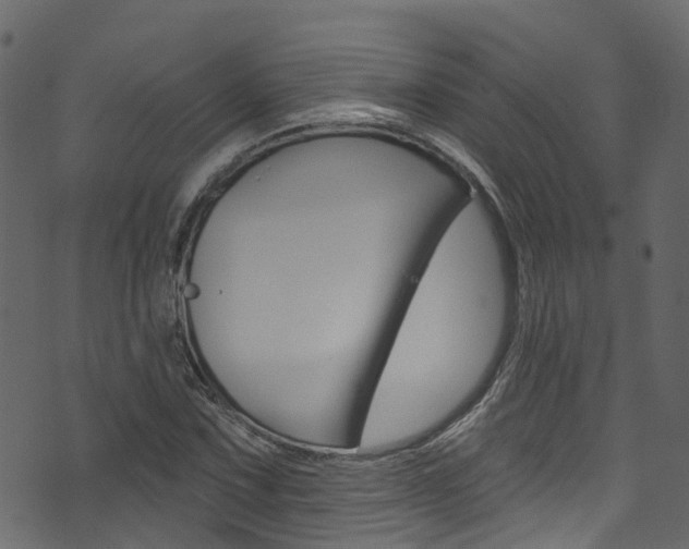 X0000074301067200608250946