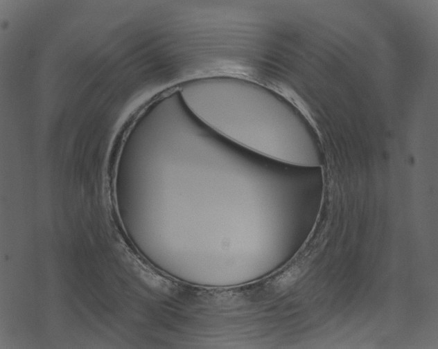 X0000074301072200608250946