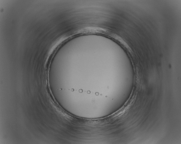 X0000074301075200608250946