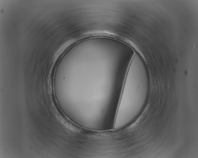 X0000074301082200608250946