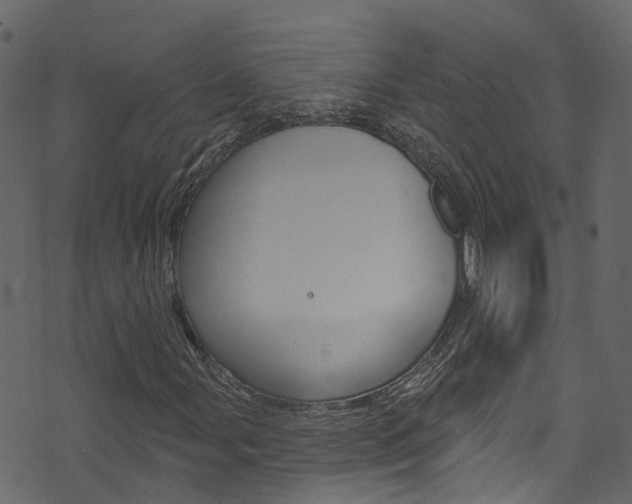 X0000074301107200608250945