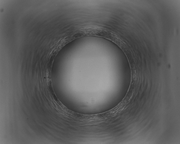 X0000074301108200608250945