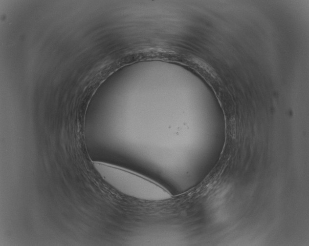 X0000074301111200608250945