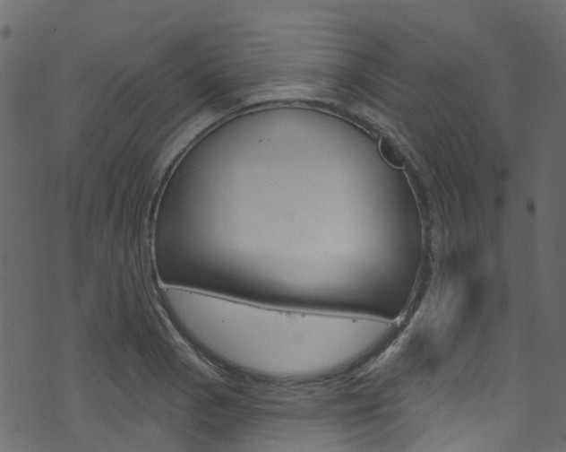 X0000074301129200608250945
