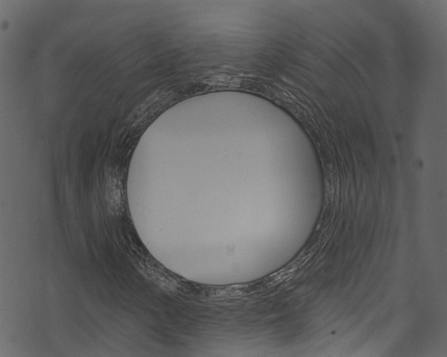 X0000074301154200608250945