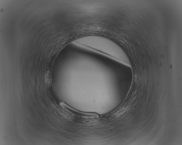 X0000074301156200608250945