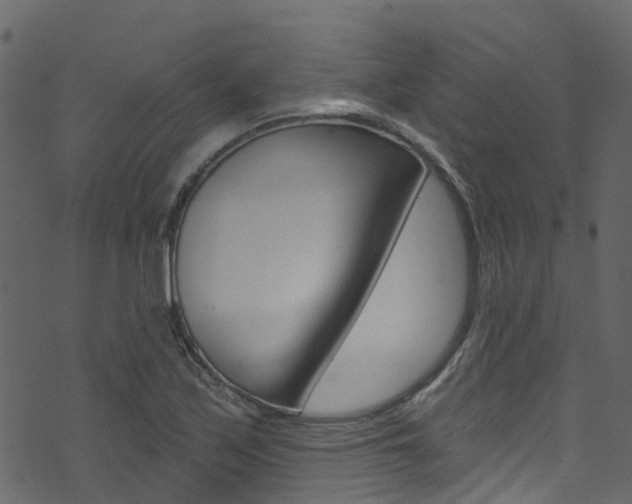 X0000074301171200608250945