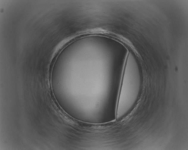 X0000074301176200608250945