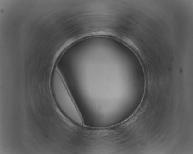 X0000074301181200608250945