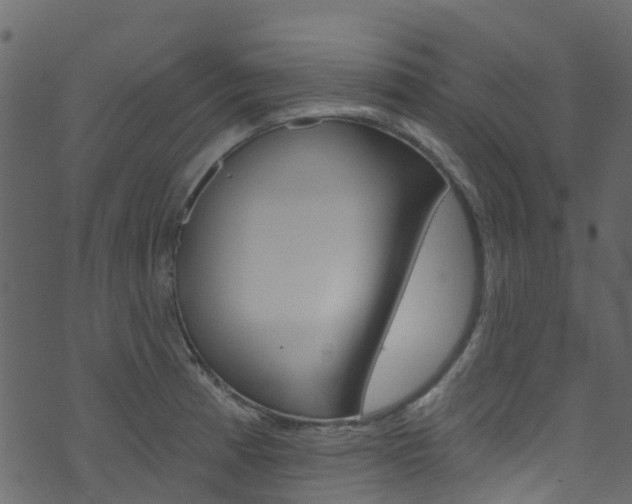 X0000074301185200608250945