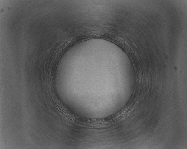 X0000074301201200608250944