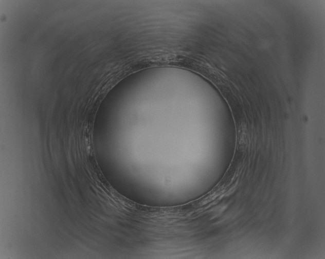 X0000074301202200608250944