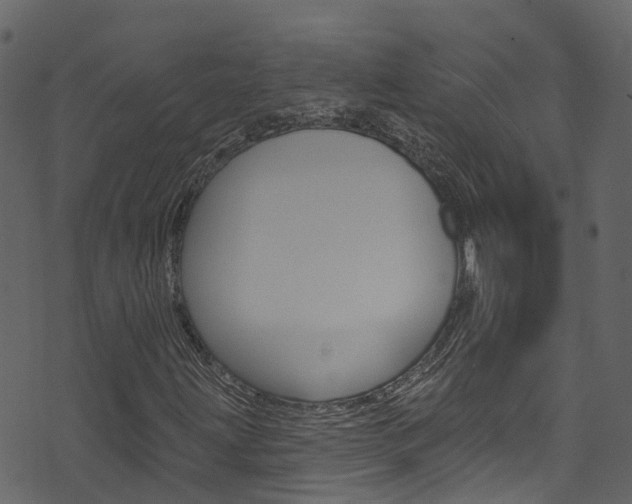 X0000074301203200608250944