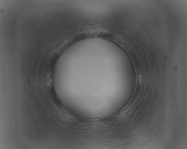 X0000074301204200608250944