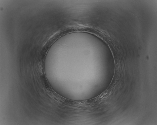 X0000074301205200608250944