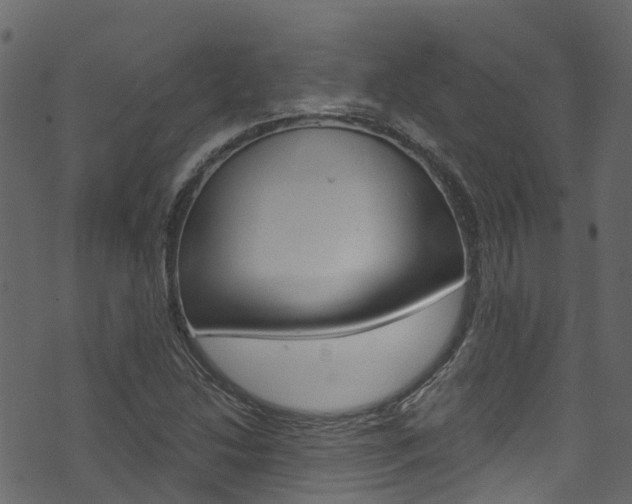 X0000074301214200608250944