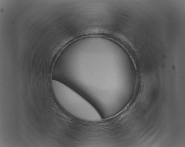 X0000074301217200608250944