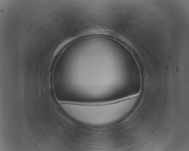 X0000074301222200608250944