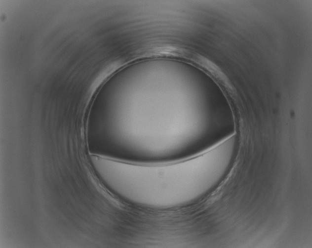 X0000074301234200608250944