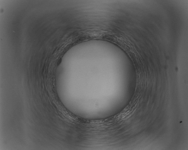 X0000074301249200608250943