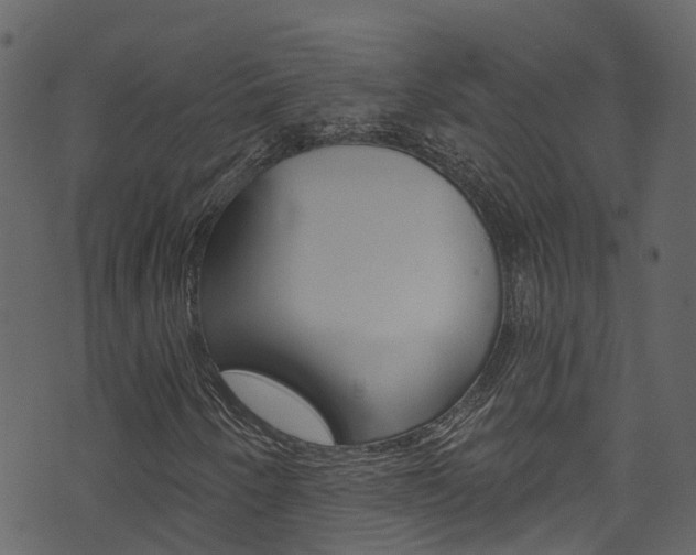 X0000074301250200608250943