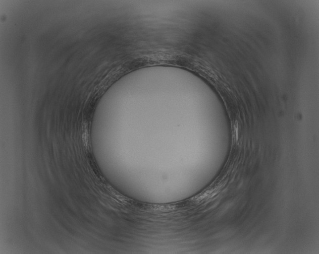 X0000074301251200608250943