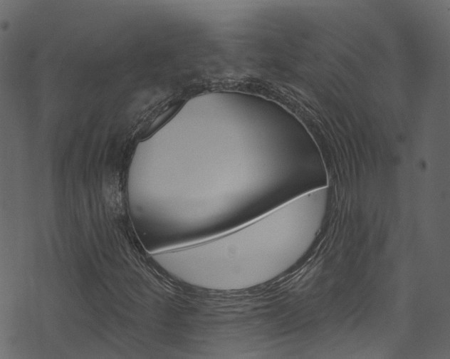 X0000074301252200608250943