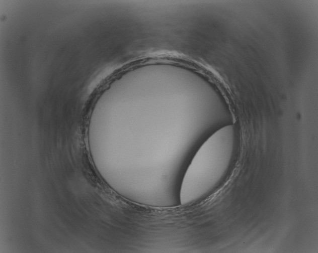 X0000074301263200608250943