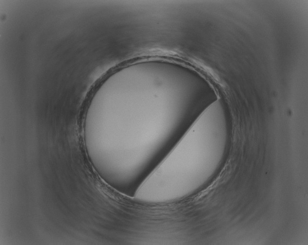 X0000074301264200608250943