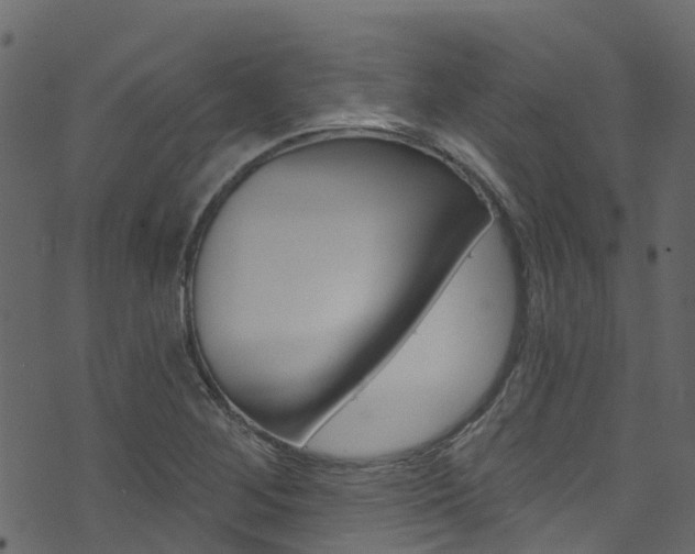 X0000074301268200608250943