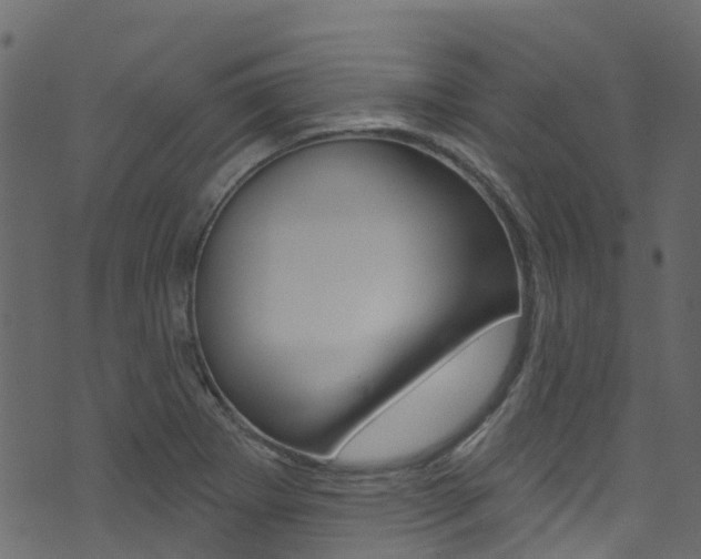 X0000074301273200608250943
