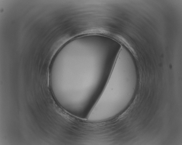 X0000074301276200608250943