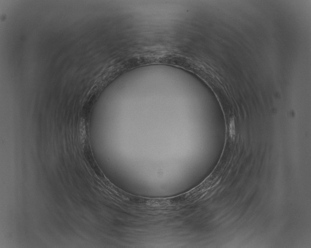 X0000074301299200608250942