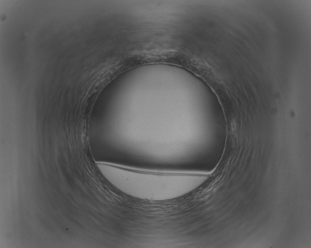 X0000074301300200608250942