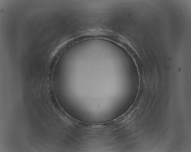 X0000074301304200608250942