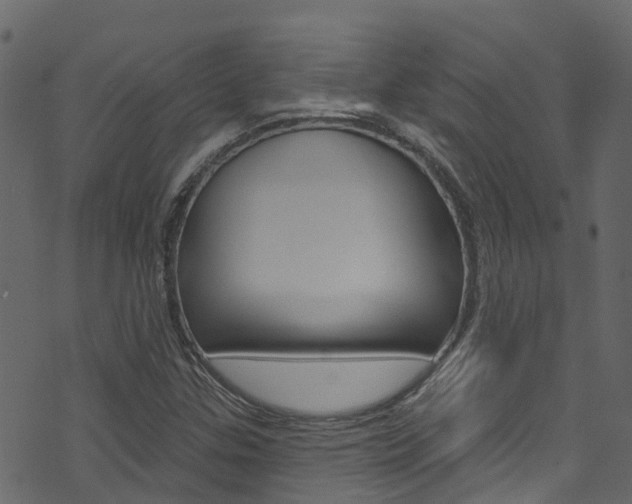X0000074301307200608250942
