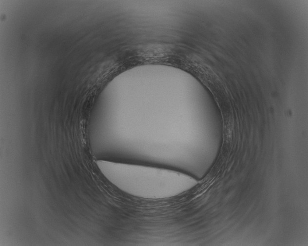 X0000074301346200608250942