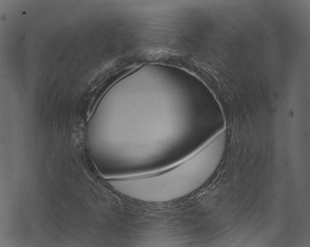 X0000074301349200608250942